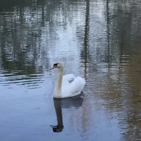 Lahnblick *