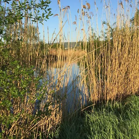 Lahnblick * Löhnberg