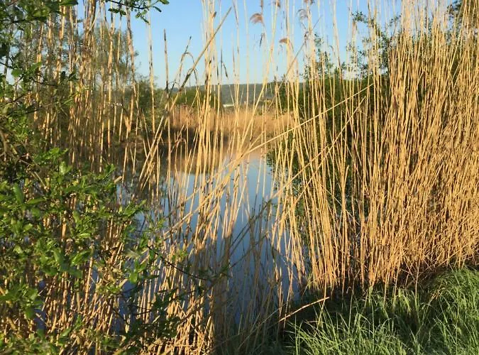 Lahnblick * Löhnberg